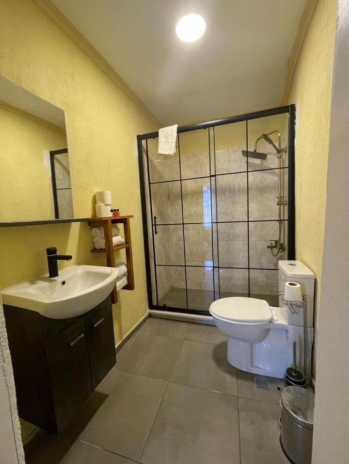 اسطنبول The Local Hostel & Guesthouse المظهر الخارجي الصورة